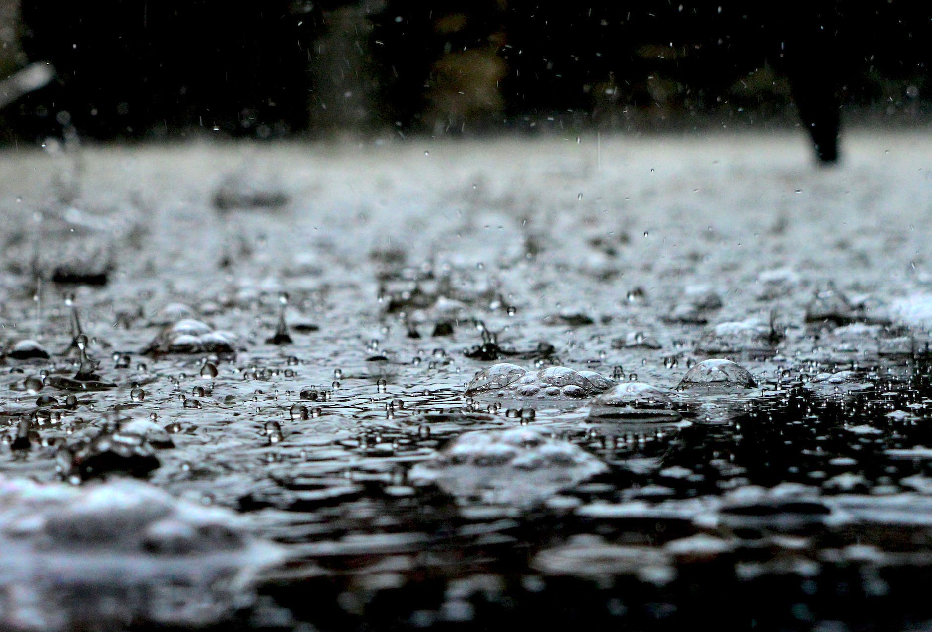 Video: Chillen in de regen met Zen-master Skippie @Priscilla’s blog :)…