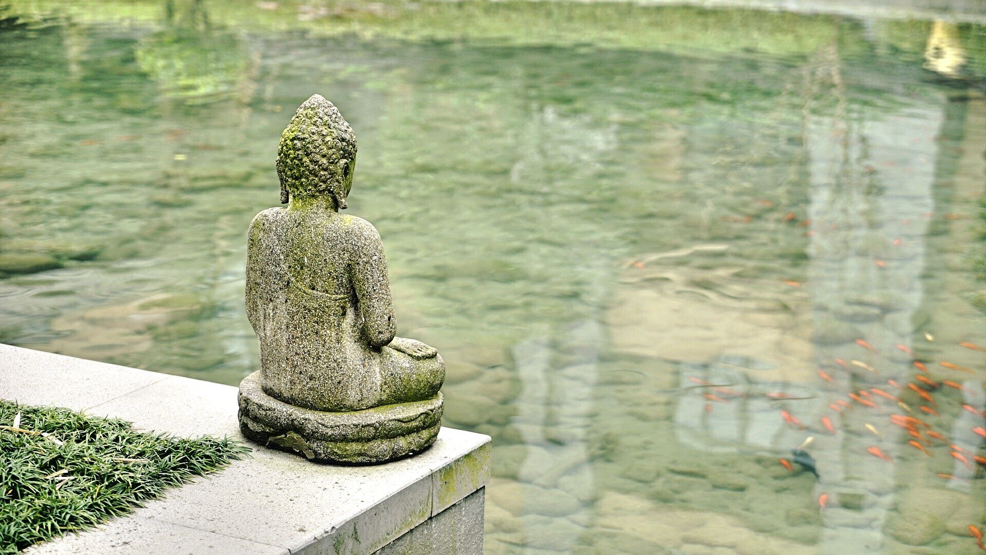 Video: 1-minuut meditatie @priscillasblog #Shindo Nu #Japanse Zen-tuin 🧡✌️🌊⛩…