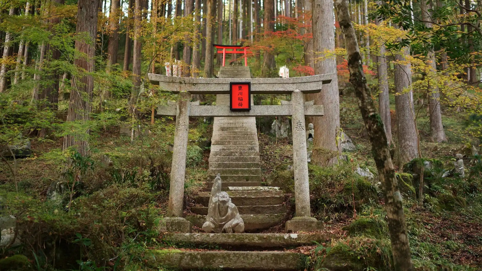 Video: Betreed de torii; de poort naar Jezelf @priscillasblog 🧡🧡🧡✌️🌊⛩…