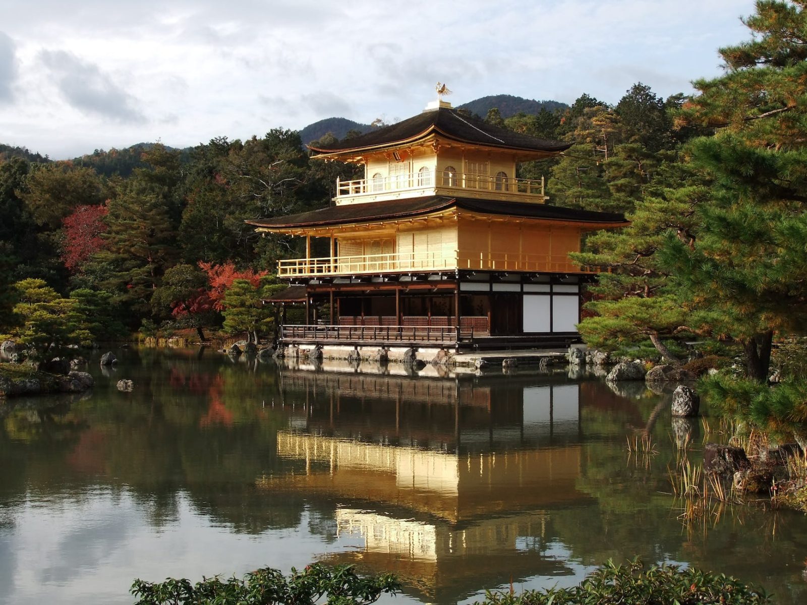 Video: 2 minuten-meditatie in de Japanse tuin met… Skippie 😉 @priscillasblog 🧡🧡🧡🌊⛩…