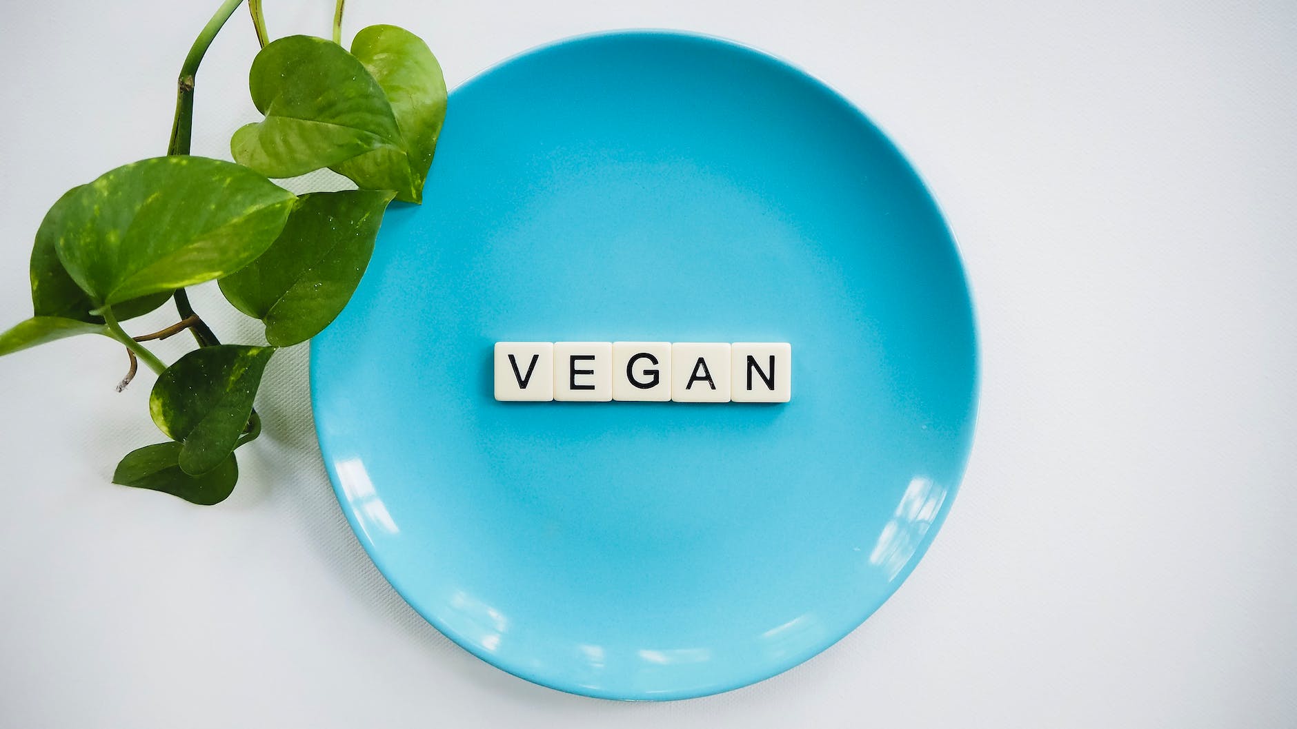 Video: Uitgezoomd leven als veganist in de dagelijkse praktijk en een aankondiging 😉  @priscillasblog  🧡🧡🧡🌊⛩…